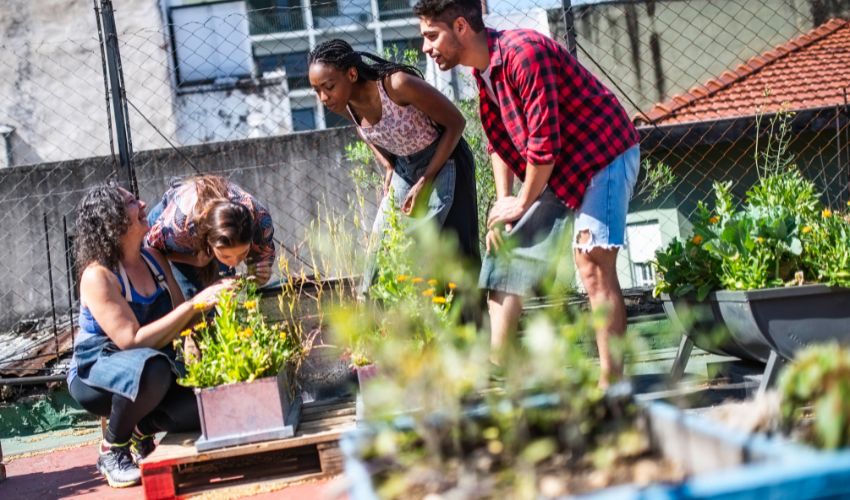 10 Rooftop Gardening Tips and Ideas for a Thriving Urban Oasis