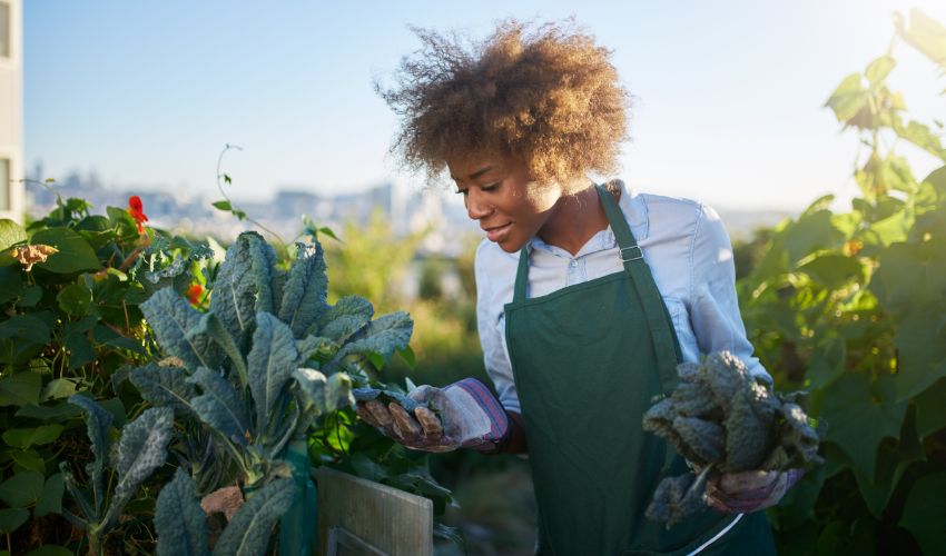 Maximizing Space: Aquaponics Solutions for Small Areas