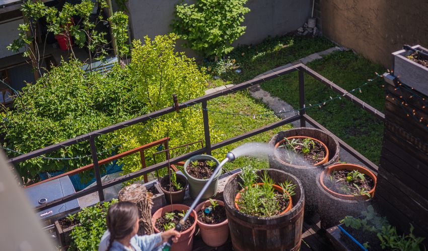 10 Effective Ways to Reduce Plastic Use in Urban Gardens