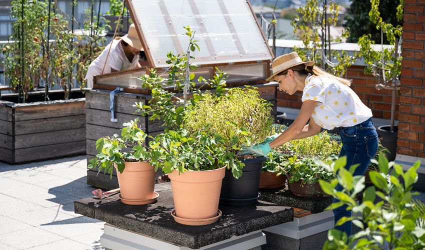 10 Ways Urban Gardening Can Help Reduce Your Carbon Footprint